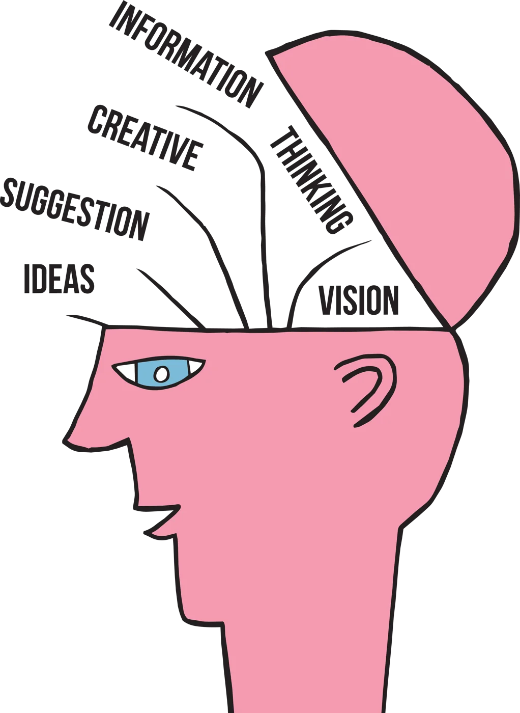 A profile of a head with the top open, labelled information, creative thinking, suggestion, ideas and vision.